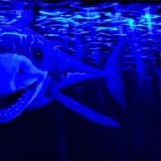 Minigolf-Alte-Papierfabrik---rajca-art-33